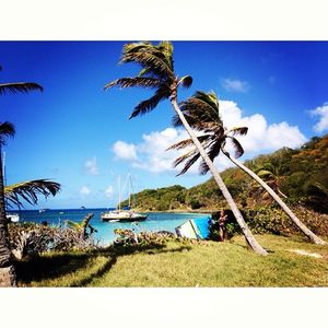 Image post by @emmalovewell on Instagram