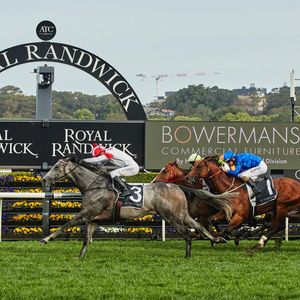 Image post by @australianturfclub on Instagram