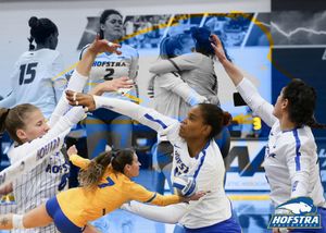 Image post by @hofstravb on Instagram