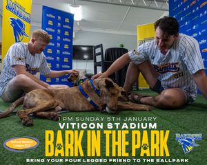 Image post by @brisbanebandits on Instagram