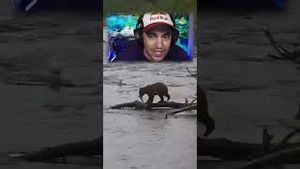 Video post by @grandpoobear on YouTube