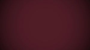 Gif post by @hailstate on Twitter