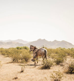 Image post by @cowgirlmagazine on Instagram