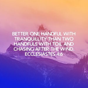 Image post by @nickahmed13 on Instagram