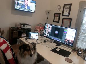 Image post by @carolinewpotter on Twitter