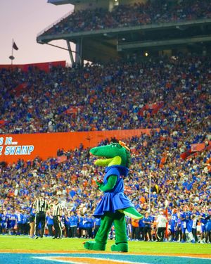 Image post by @albertathegator on Instagram