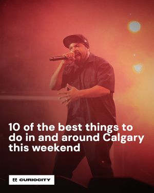 Image post by @curiocitycalgary on Instagram