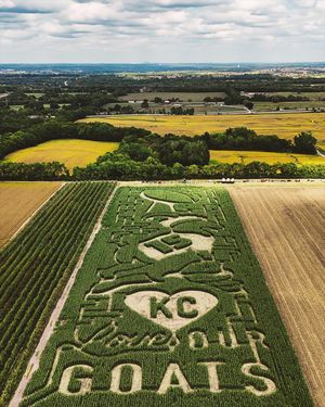 Image post by @connoronealdesign on Instagram