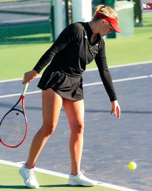 Image post by @razorbackwten on Instagram