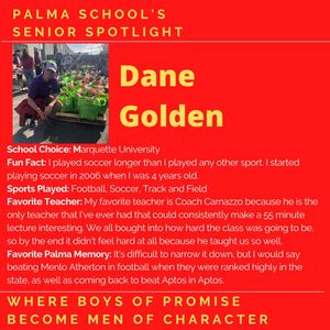 Image post by @palma_school on Instagram
