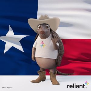 Image post by @reliantenergy on Instagram
