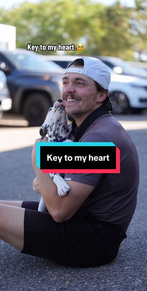 Image post by @coloradoavalanche on TikTok