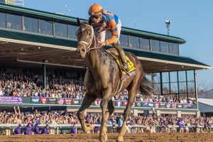 Image post by @thebloodhorse on Instagram