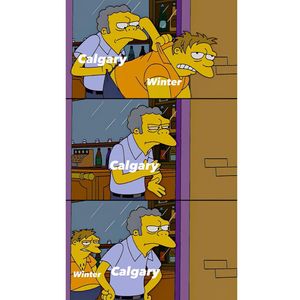 Image post by @calgary.wildin on Instagram