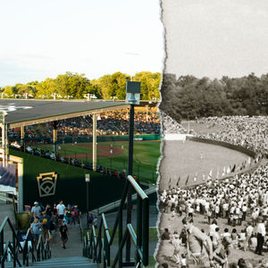 Image post by @littleleague on Twitter