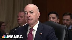 Video post by @msnbc on YouTube