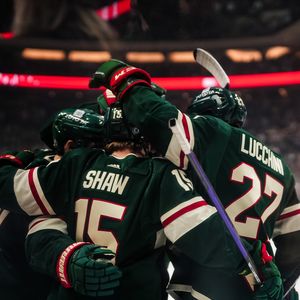 Image post by @minnesotawild on Instagram
