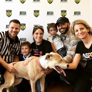 Image post by @animalplanet on Instagram