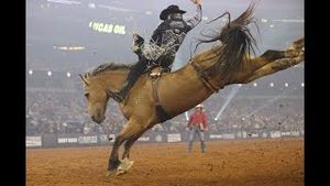 Video post by @pbr on YouTube