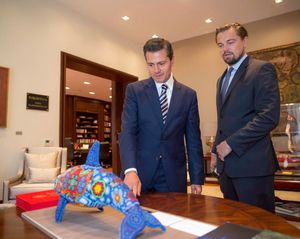Image post by @leonardodicaprio on Instagram