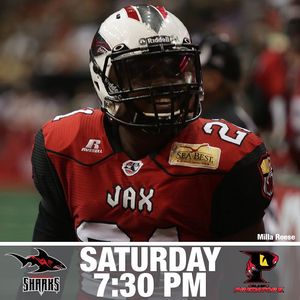 Image post by @jaxsharks on Instagram