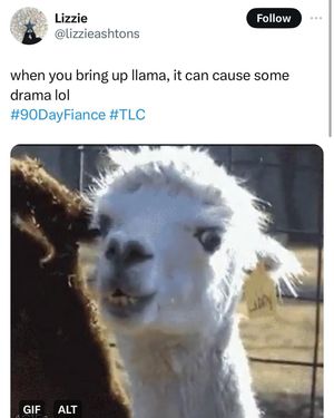 Image post by @90dayfiance on Instagram