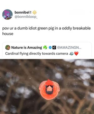 Image post by @brgaming on Instagram