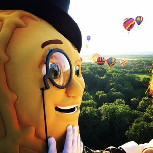 Image post by @mrpeanutofficial on Instagram