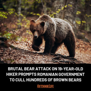 Image post by @outdoor_life on Instagram