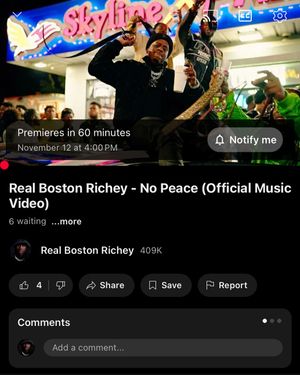 Image post by @realbostonrichey on Instagram
