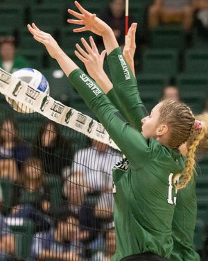 Image post by @binghamtonvb on Instagram