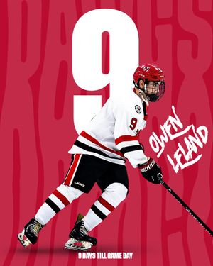 Image post by @UGAHockey on Twitter