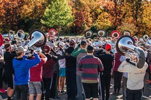 Image post by @carolinacrown on Instagram