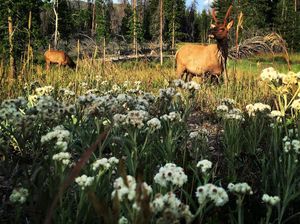 Image post by @michaelmreaves on Instagram