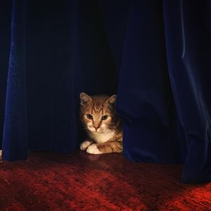 Image post by @redtettemer on Instagram