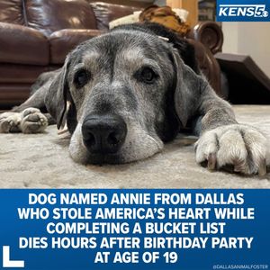 Image post by @kens5 on Instagram