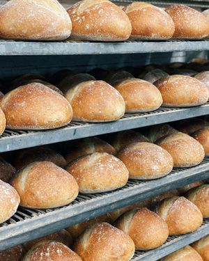 Image post by @greenapplebarter on Instagram