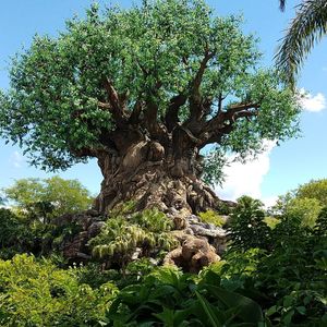 Image post by @thedisneyblog on Instagram