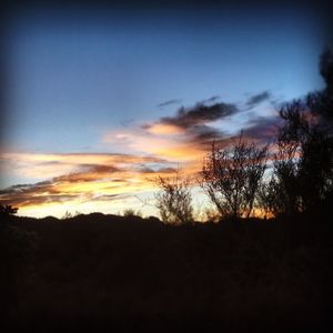 Image post by @jacobwaltz on Instagram