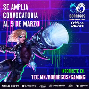 Image post by @borregosgaming on Instagram