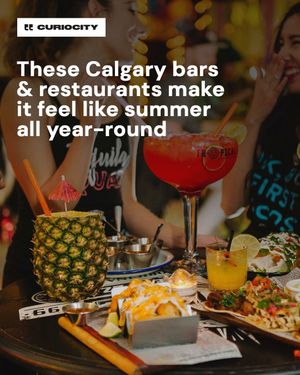 Image post by @curiocitycalgary on Instagram
