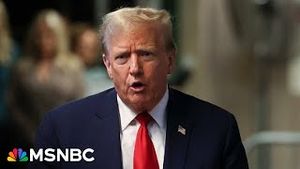 Video post by @msnbc on YouTube