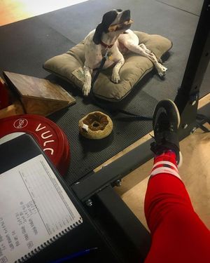 Image post by @mandimurakami on Facebook