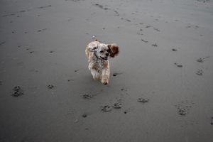 Image post by @darbywinterphoto on Instagram
