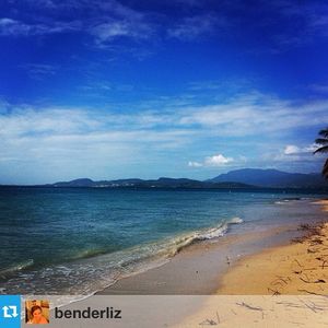 Image post by @hiltonhotels on Instagram