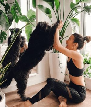Image post by @sweatyoga on Instagram
