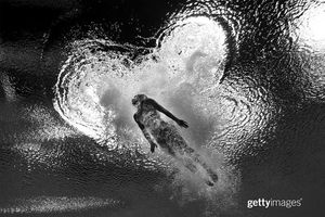 Image post by @gettyimages on Instagram