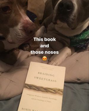 Image post by @theheartspacenj on Instagram