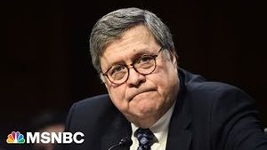 Video post by @msnbc on YouTube
