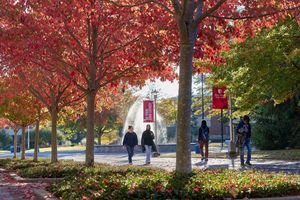 Image post by @stonybrooku on Instagram